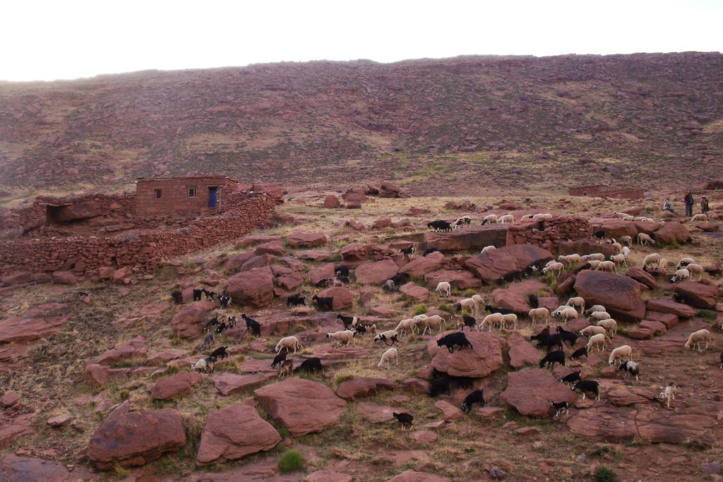 Hutte-du-bergere-berbere