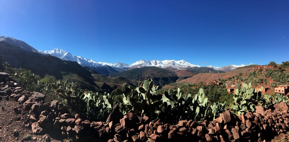 Vue panoramique